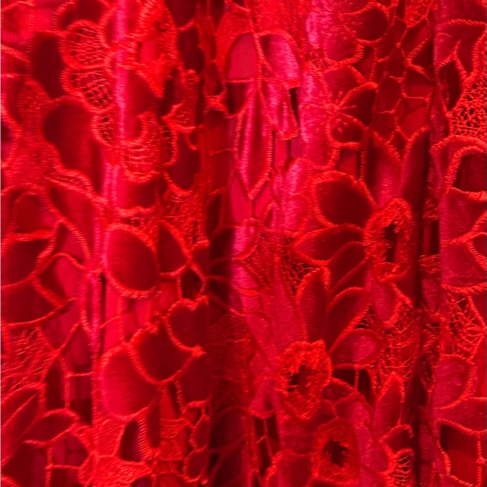 BOSTON PROPER
Mock Neck Velvet Lace Midi Dress
Excellent condition. Worn once - Picture 12 of 13
